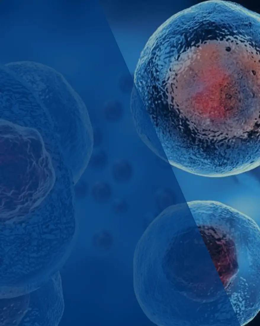 Op. Dr. Tunç Koç - Kök Hücre ve Eksozom Tedavisi